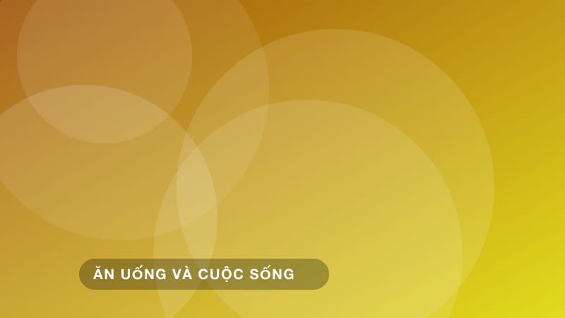 Thực phẩm lên men cho người mới: kim chi, kombucha và hơn thế