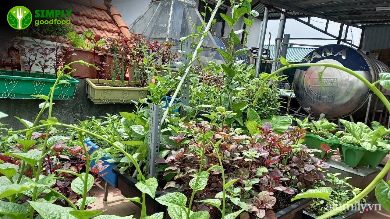 Kết Bài: Uống Trà Xanh Mỗi Ngày, Bí Quyết Sống Thọ Của Người Nhật Ngay Trong Tầm Tay