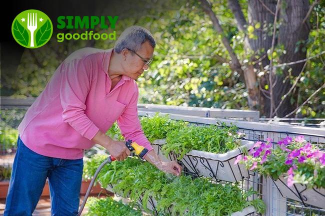 Cảm Hứng Cho Lối Sống Xanh Và Ngôi Nhà Mơ Ước