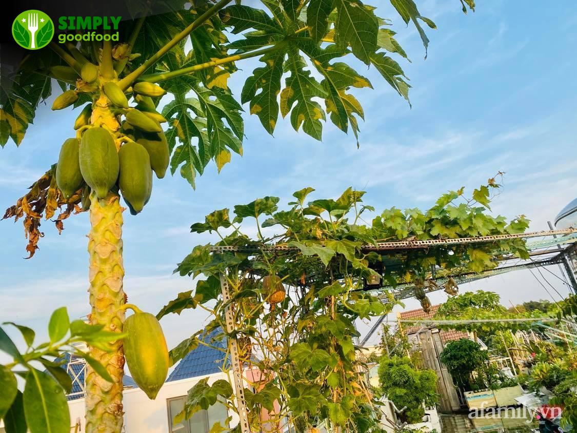 Chế Độ Dinh Dưỡng Khoa Học: 