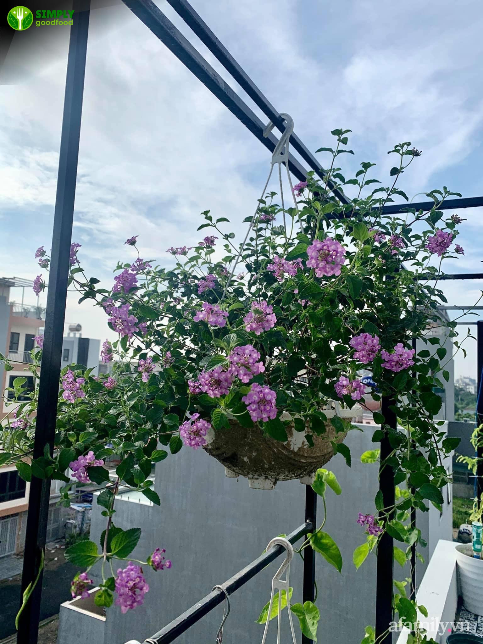 Tạm biệt Cảm Cúm Bằng Bài Thuốc Dân Gian: Khỏe Mạnh Tự Nhiên
