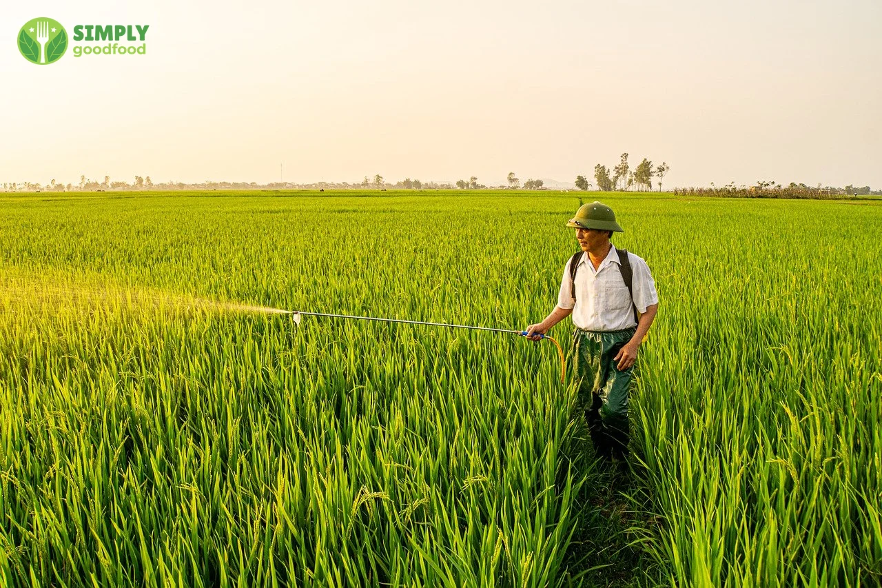 Giỏ rau củ quả tươi ngon, an toàn cho sức khỏe, chế biến đúng cách.