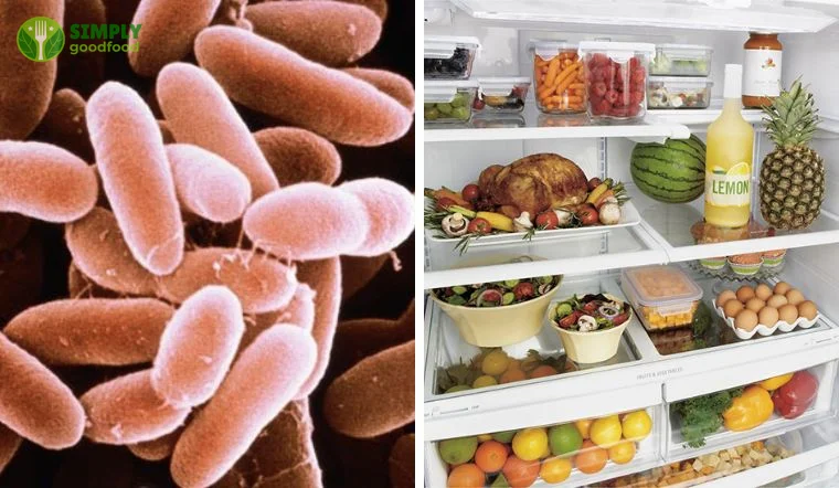 Vi khuẩn nguy hiểm phát triển trong tủ lạnh, đe dọa ngộ độc thực phẩm từ đồ ăn thừa qua đêm.